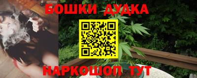 шишки Краснознаменск