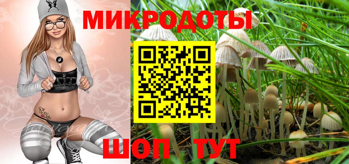 COCAIN Дмитров